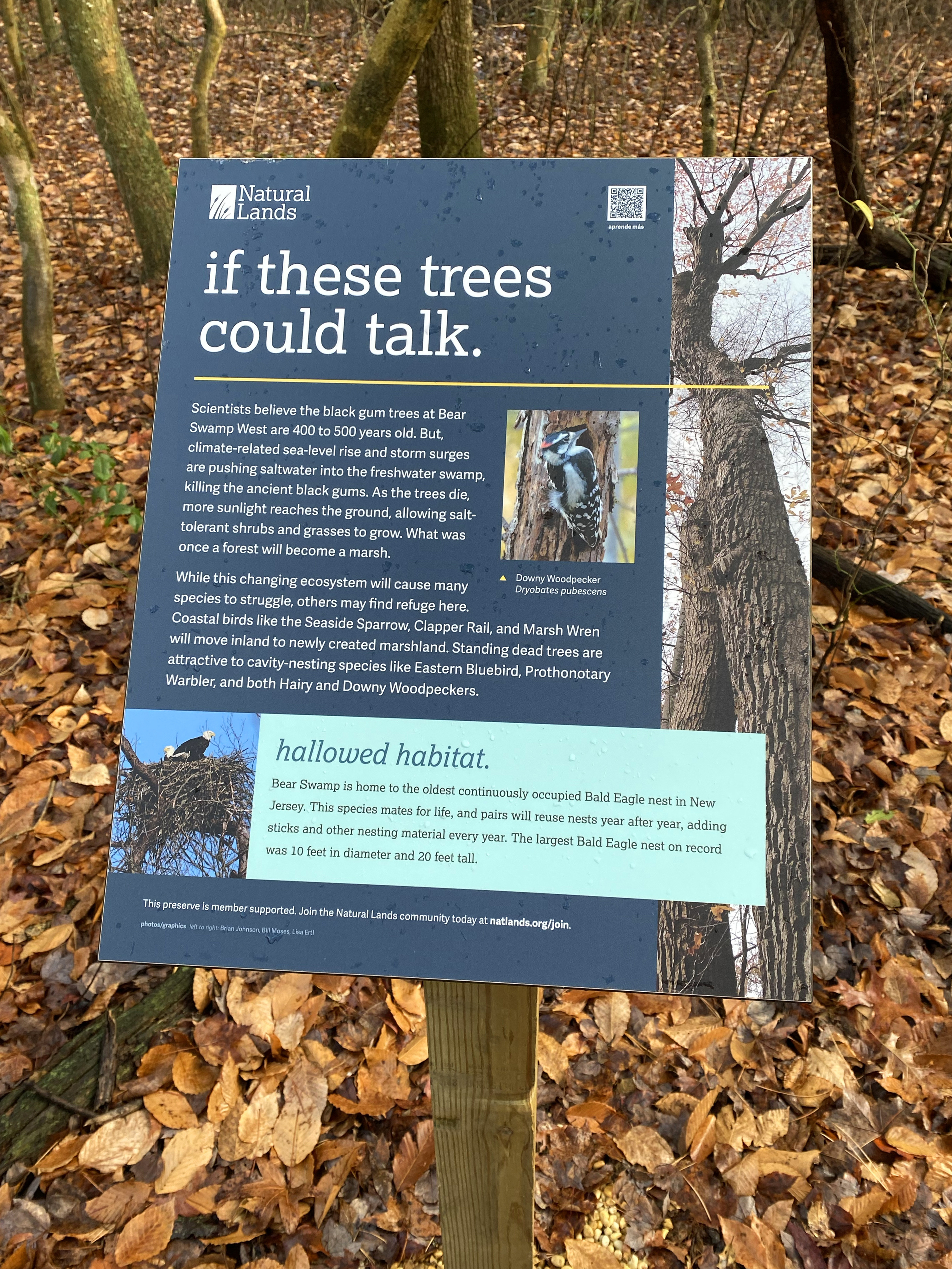 Interpretive sign at Glades Wildlife Refuge.