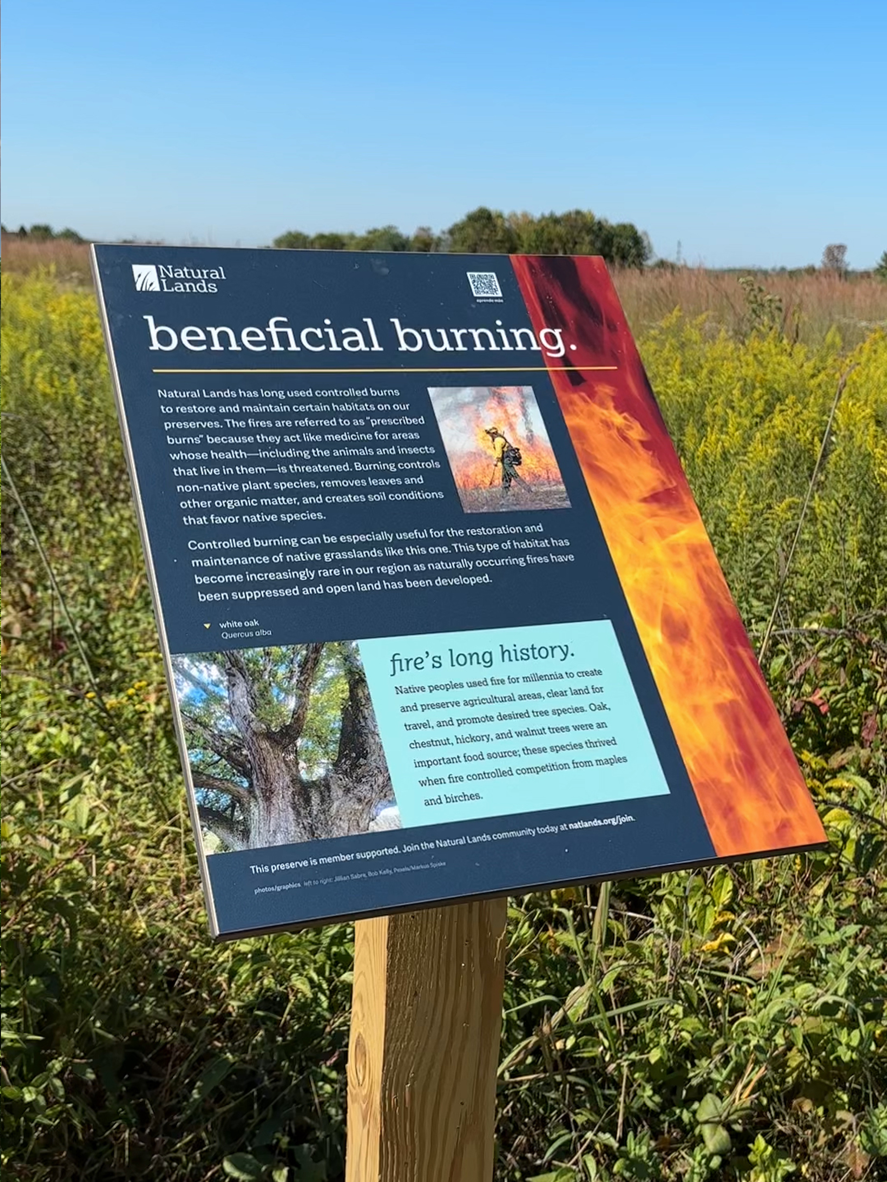 Interpretive sign at Gwynedd Preserve.
