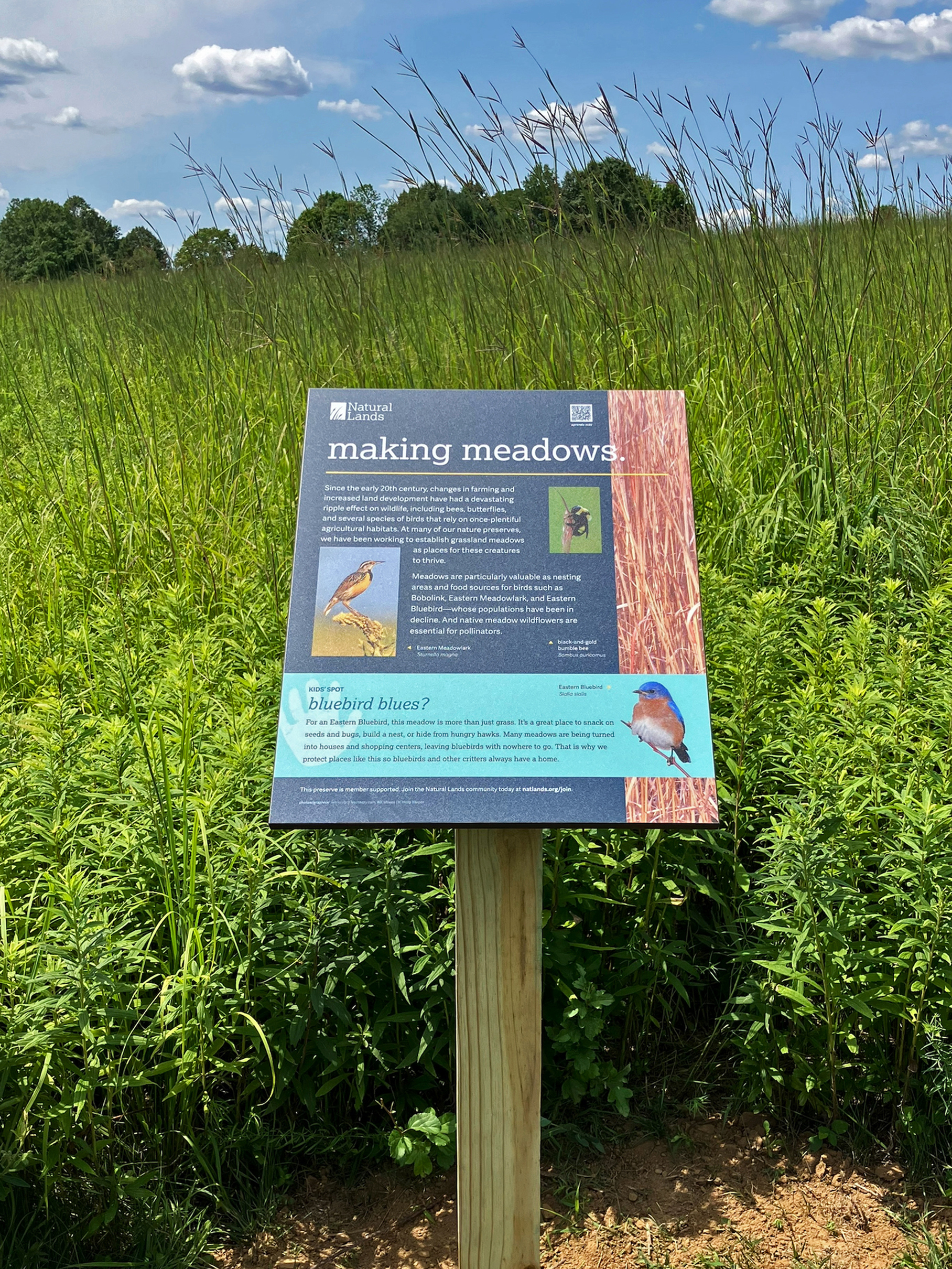Interpretive sign at Gwynedd Preserve.