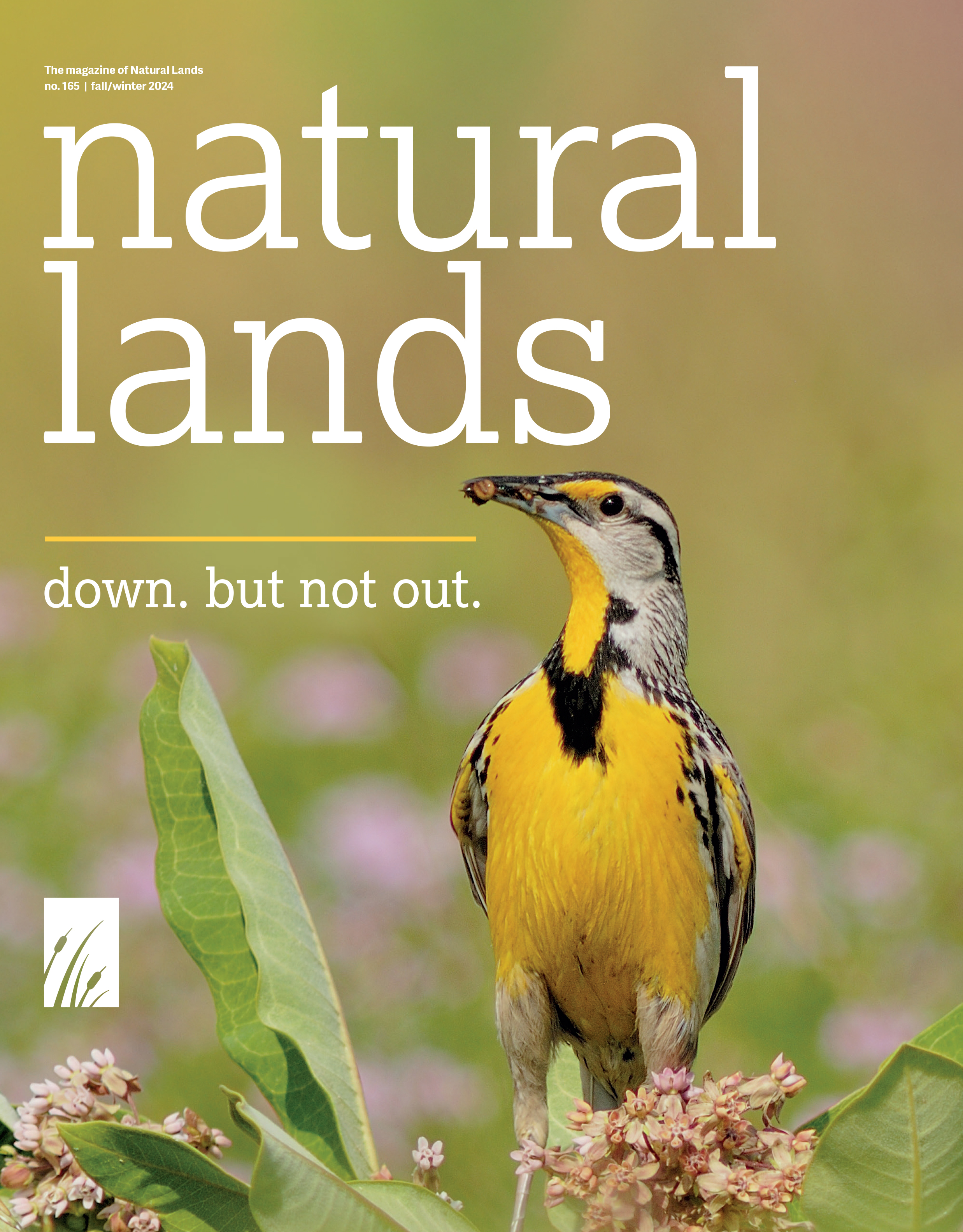 Cover of Natural Lands 2024 Fall/Winter Magazine.