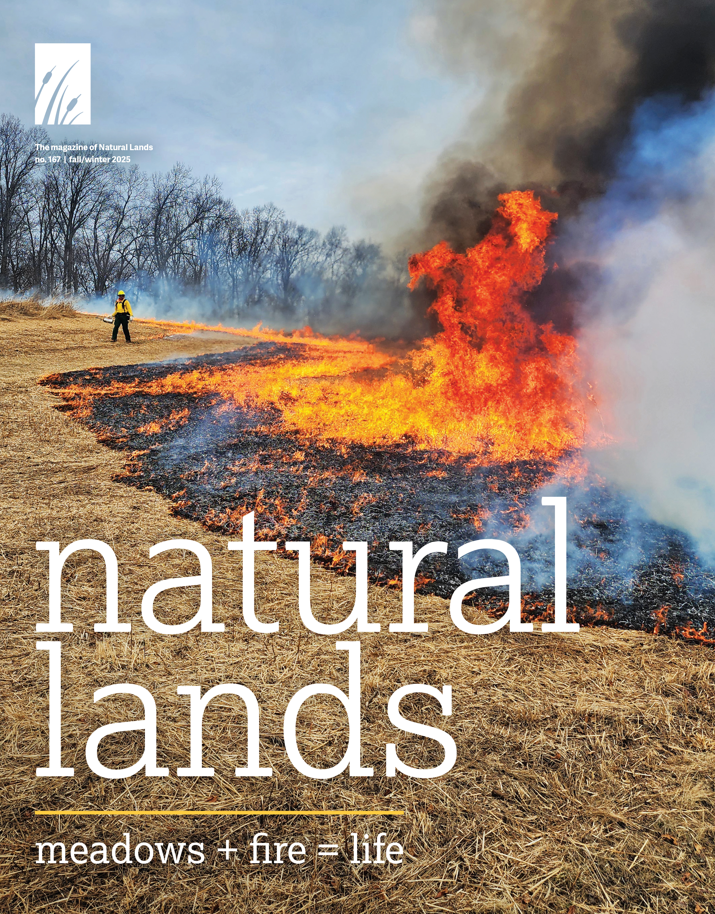 Cover of Natural Lands 2025 Fall/Winter Magazine.