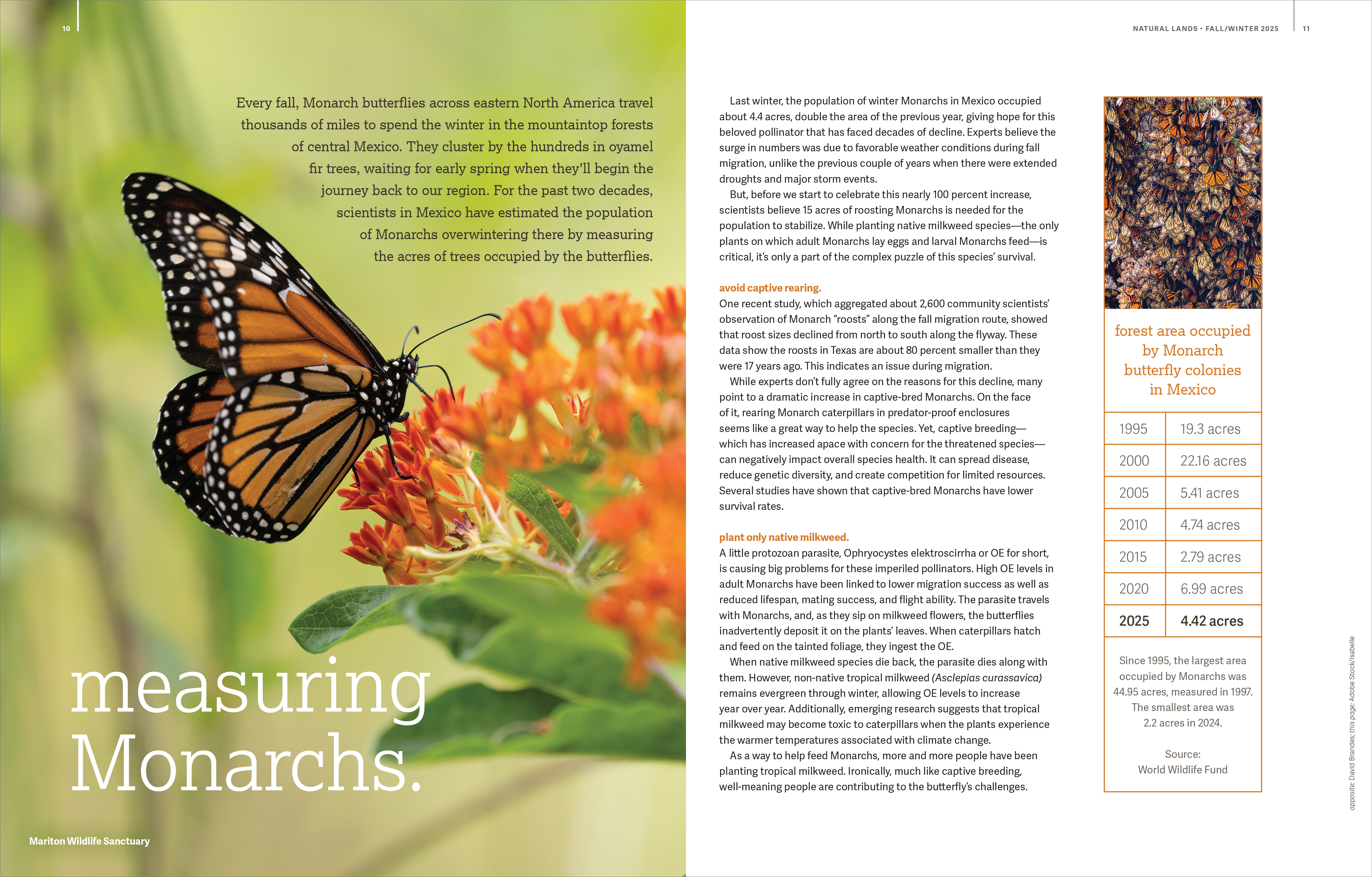 First spread of article about butterflies from Natural Lands 2025 Spring/Summer Magazine.