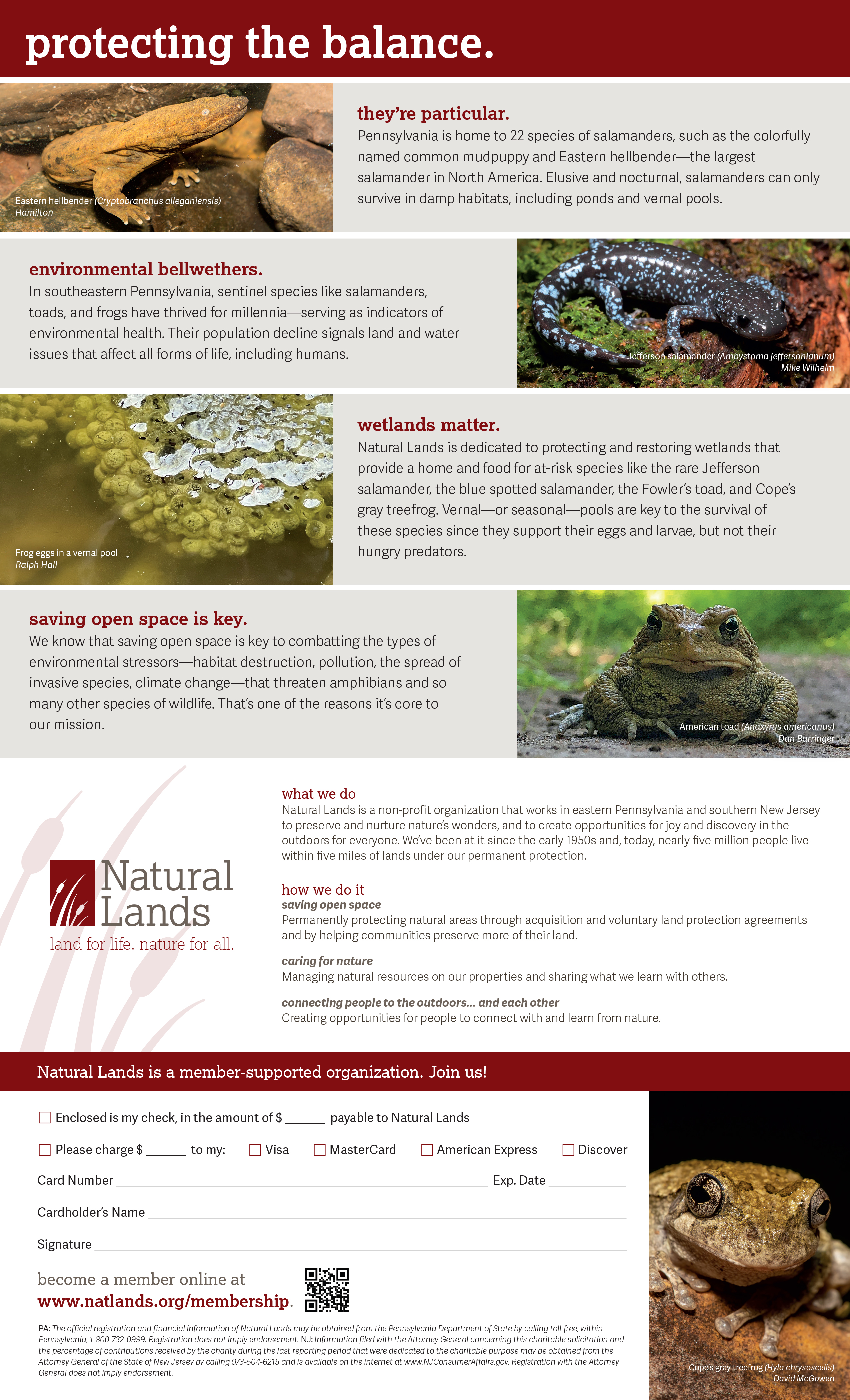 Back over a Natural Lands membership solicitation letter.