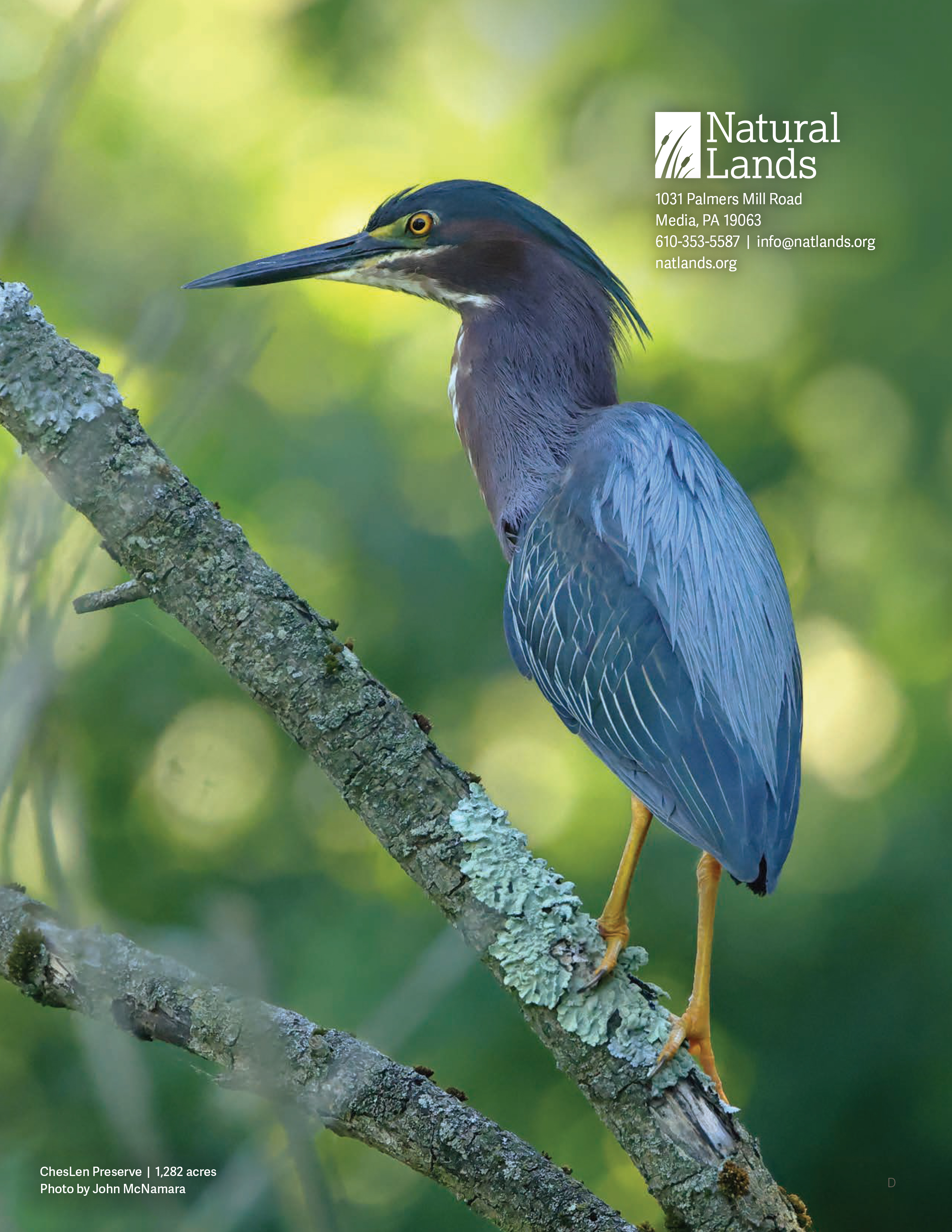 Back cover of Natural Lands’ 2025-30 Strategic Plan.