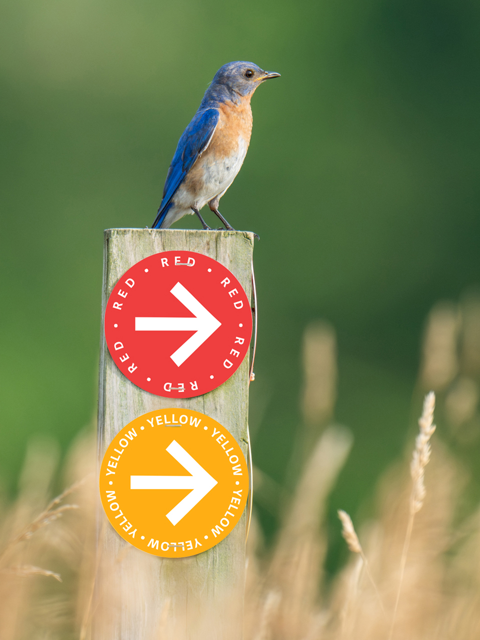 Trail markers for ChesLen Preserve.