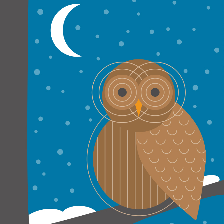 Design spreads from Natural Lands' magazine.