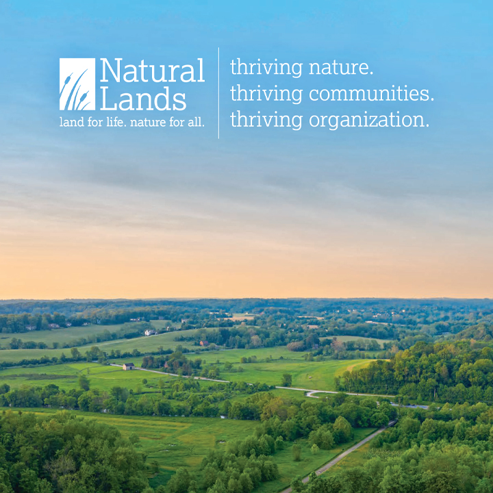 2025-30 Strategic Plan design for Natural Lands.