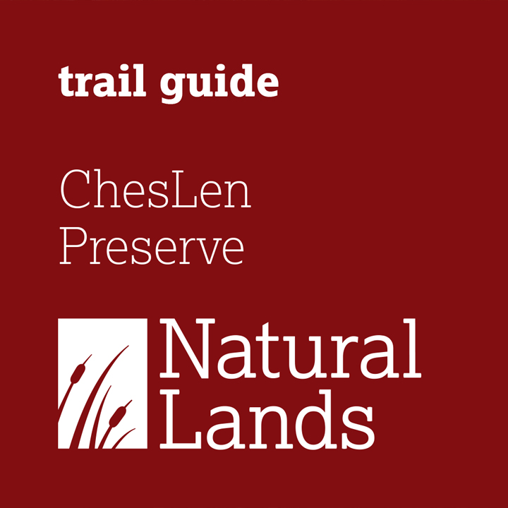 Brochure and rack card designs for Natural Lands.