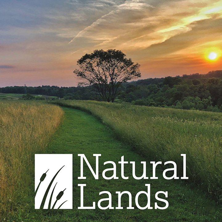 Brochure and rack card designs for Natural Lands.